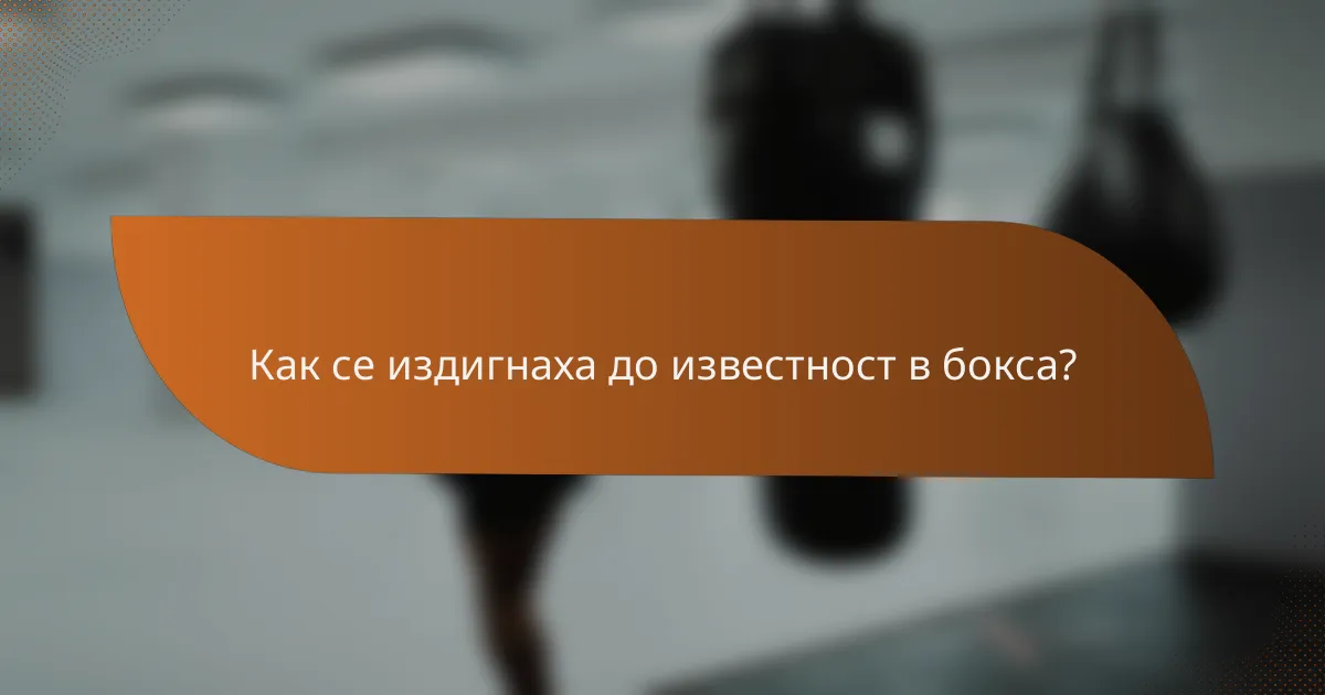 Как се издигнаха до известност в бокса?