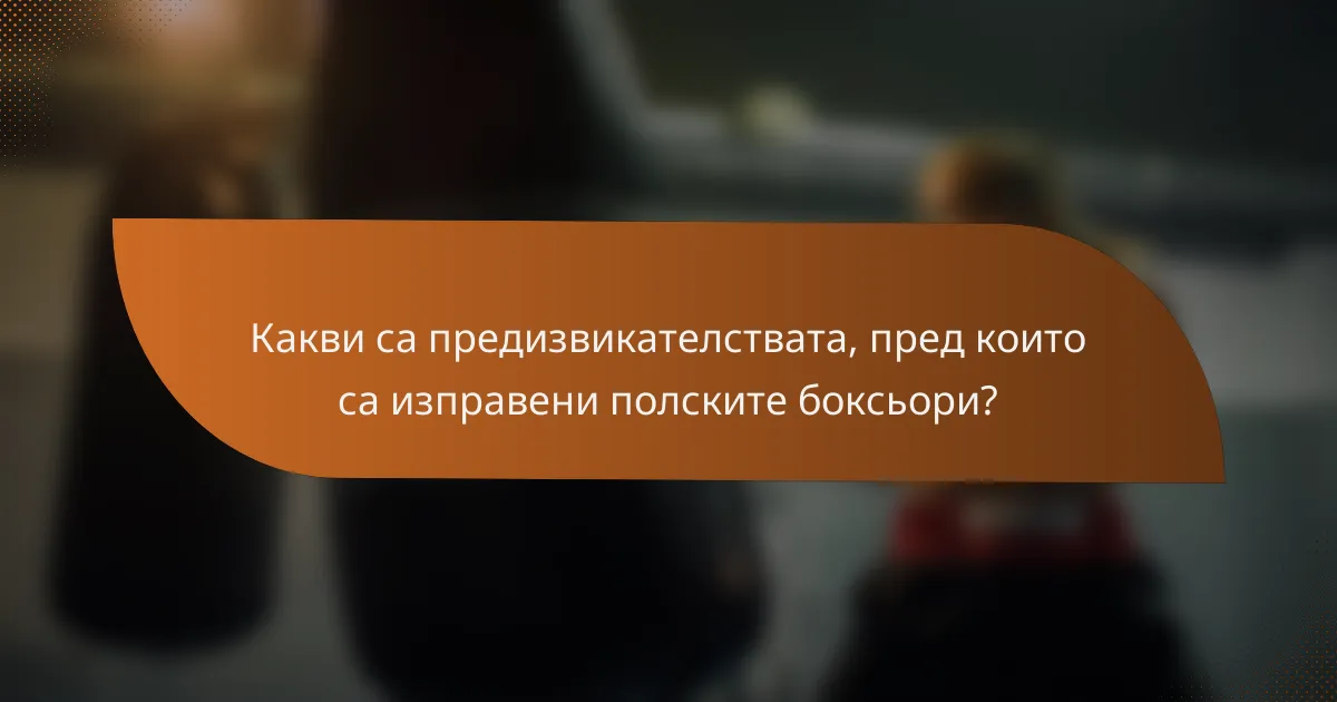 Какви са предизвикателствата, пред които са изправени полските боксьори?