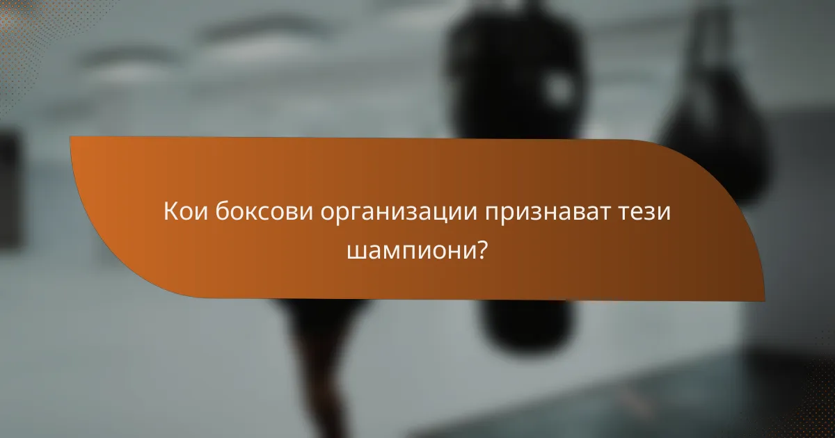 Кои боксови организации признават тези шампиони?